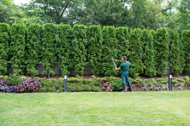 Best Tree Care Services  in Pleasant Hill, MO